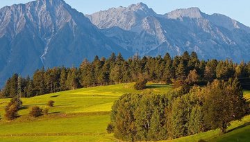 Naturschutzgebiet Rosengarten