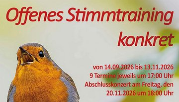 Offenes Stimmtraining konkret