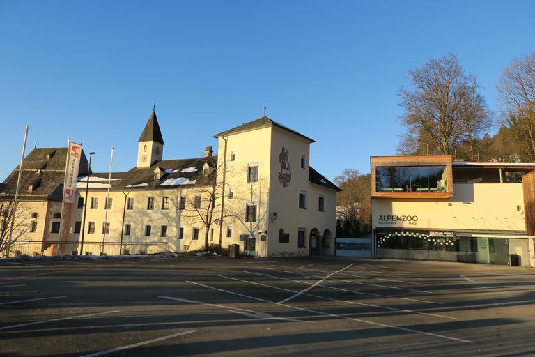 Experience inclusion at the Alpine Zoo