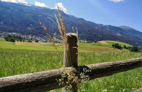 Wandern mit Kindern: spannende Ausflugsziele rund um Innsbruck