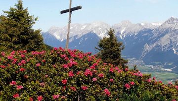 Alpenrosensteig 14a - Rundwanderung