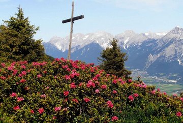 Sentier Alpenrosensteig à Oberperfuss