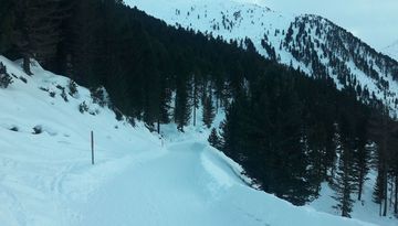Rodelbahn Juifenalm