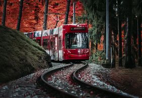 Erlebnis Waldbahn