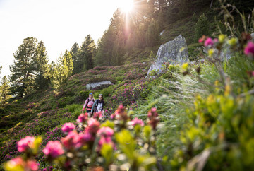Nature walk on the Patscherkofel