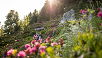 Nature walk on the Patscherkofel