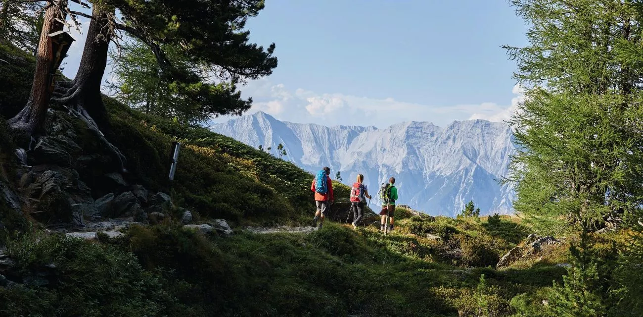 Wandern am Zirbenweg Wandern im Stadturlaub
