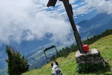 Tour con arrivo in vetta: Gacher Blick