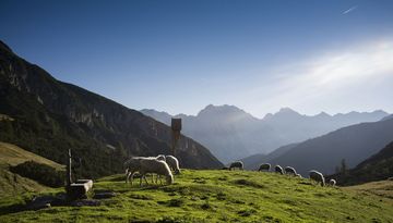 Adlerweg-Etappe 14: Innsbruck – Solsteinhaus Adlerweg-Etappe 14: Innsbruck – Solsteinhaus