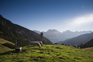 Camino del águila - etapa 14: Innsbruck - refugio Solsteinhaus