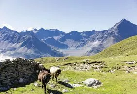 Kühtai