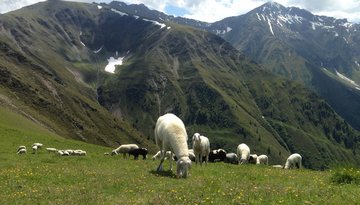 Flaurlinger Joch - Pollinger Kreuz