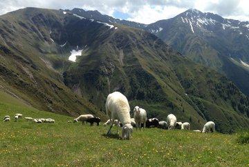 Flaurlinger Joch - Pollinger Kreuz