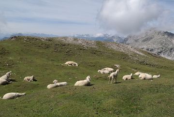 Seebenalm 1.575 m