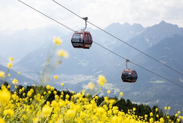 Nature at KOFEL