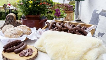 Cycle & Savour on the Mieming Plateau