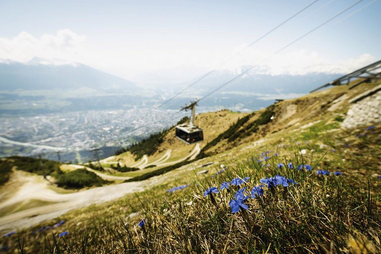 Nordkette im Frühling
