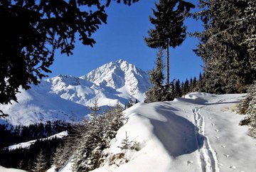 Rangger Köpfl 1.939 m