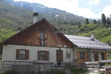 Juifenalm