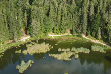 Lake Möserer See