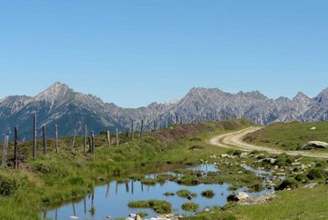 Sentier Alpenrosensteig à Oberperfuss