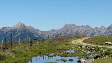 Alpenrosensteig 14a - Rundwanderung