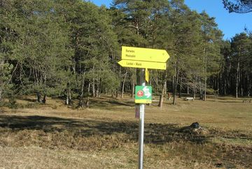 Mooswiesen