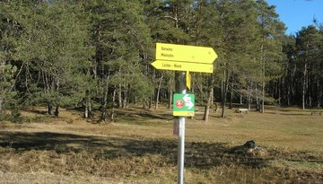 Mooswiesen