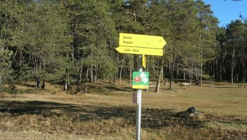 Mooswiesen