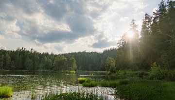 Möserer See