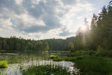 Lake Möserer See