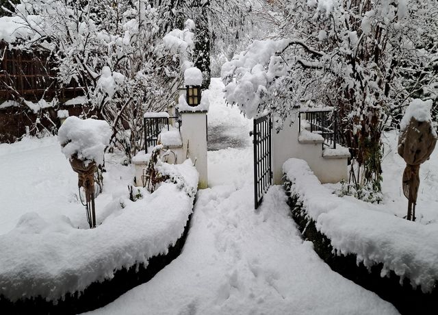 Einmal-satt-Schnee.jpg