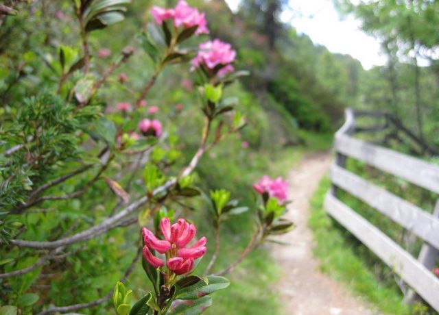2015-Wanderung-Kuehtai-20.jpg