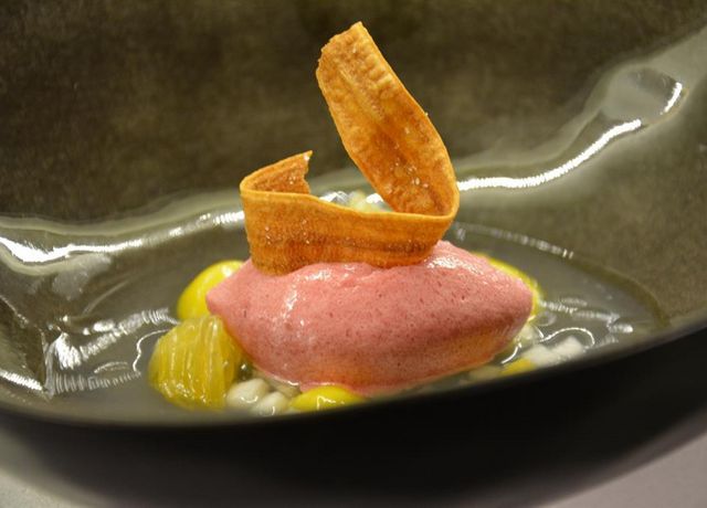 Oniriq-Sorbet.jpg