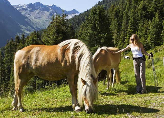 Wandern-und-Spazieren.jpg