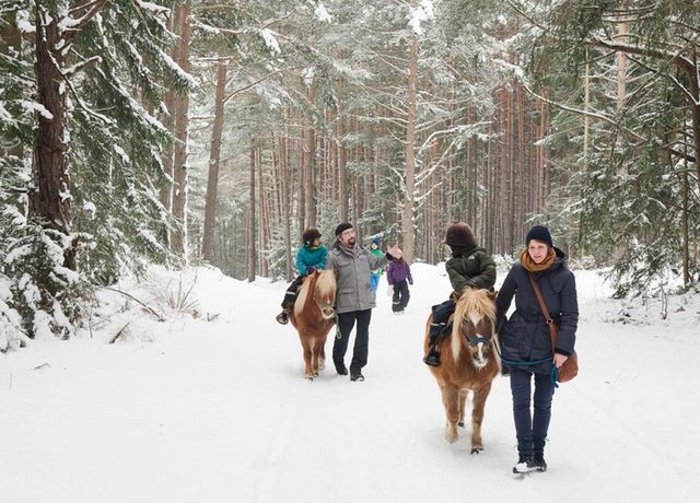 Ponyreiten-Landhotel-Stern-Winter.jpg