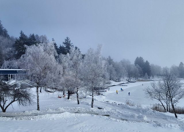 Eislaufen-am-Lanser-See.jpg