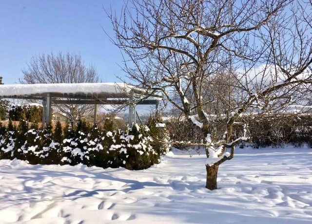 Haus-Burgstall-Winter-2.jpg