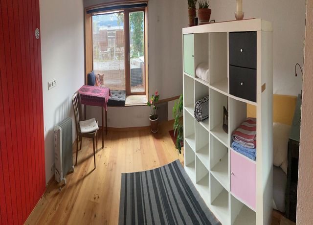 Gelis-Nest-1.jpeg