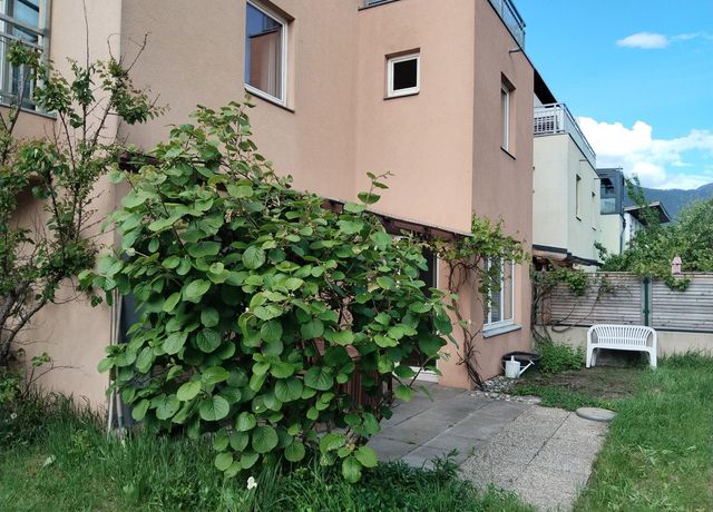 Garten.jpg