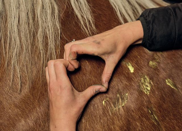 Reiten-mit-Herz.jpg