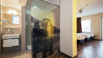 Basic Hotel:Innsbruck