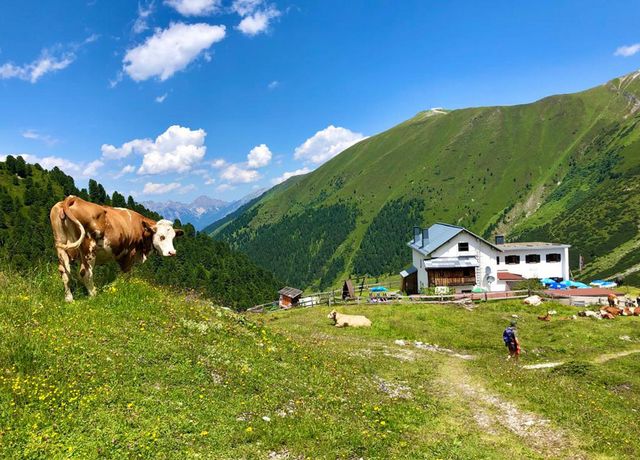 Adolf-Pichler-Huette-im-Sommer.jpg