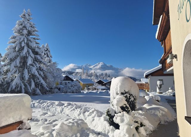 Garten-im-Winter.jpg