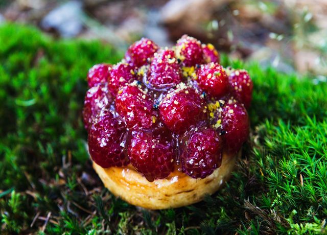 Stueckdessert-in-freier-Wildbahn.jpg