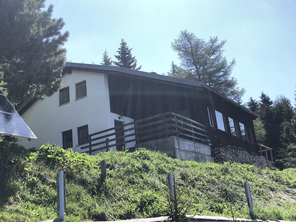 Selbstversorgerhaus Davidhütte