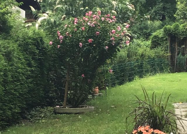 Aussenimpressionen-4.jpeg