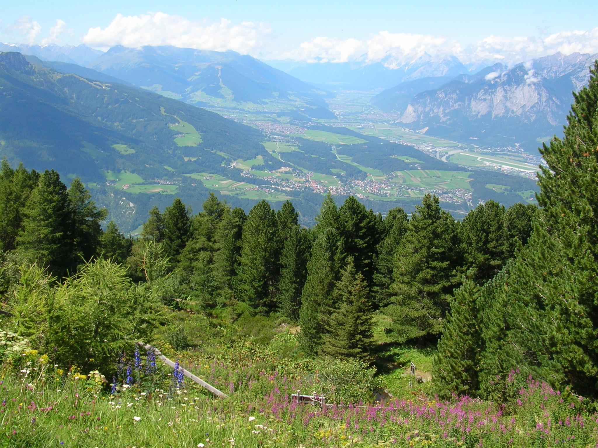 Alpengarten Patscherkofel