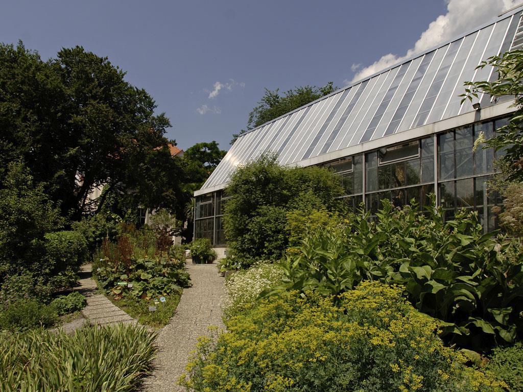 Botanischer Garten