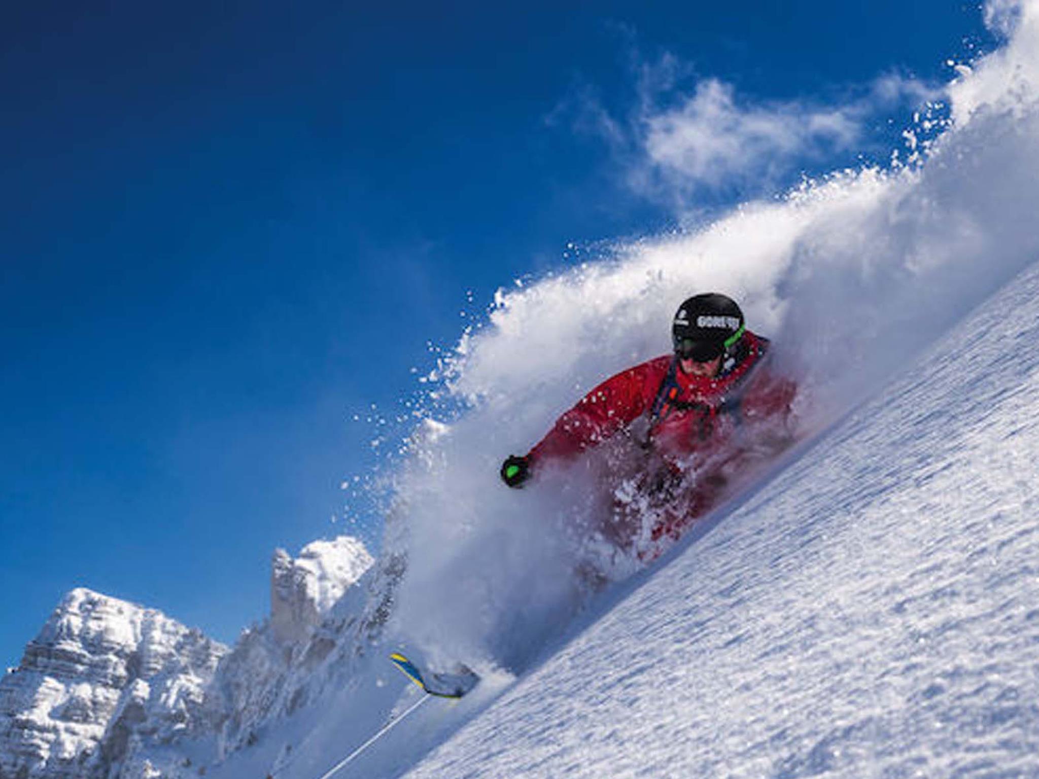 FREERIDE DIVISION - Freeride, Ski, Snowboard & Bergsteigerschule